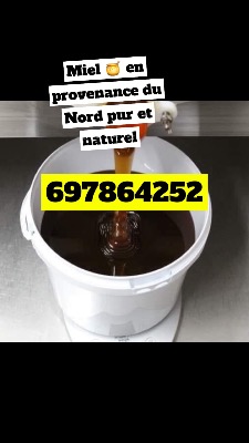Miel 🍯 pure en provenance du nord
